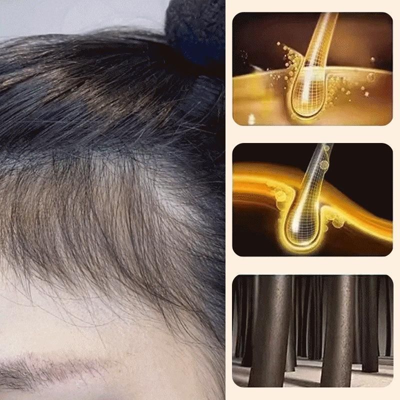 Polygonum Cleansing Shampoo Bar Herbal Hair Cleanser | Pack of 2